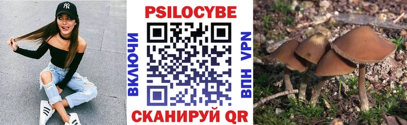 Псилоцибиновые грибы Magic Shrooms  Купить закладки  Ярцево 